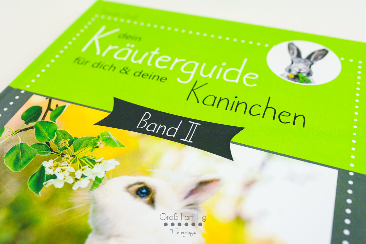 Kräuterguide Band II Cover Nahfaufnahme