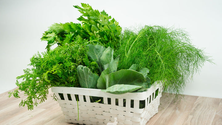 Greenbox blättrigem mit Frischfutter von Bunny Greens