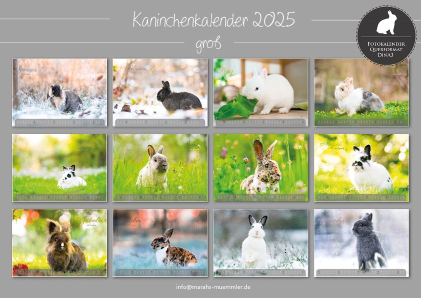 Kaninchen A3 Kalender 2025